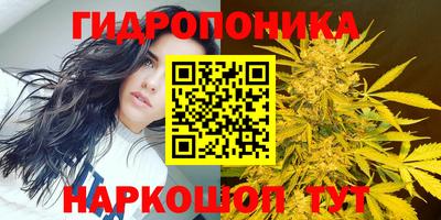 ALPHA PVP Заводоуковск
